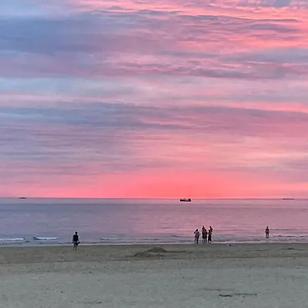 La Petite Terrasse D'arthur; Terrasse A 50m De La *